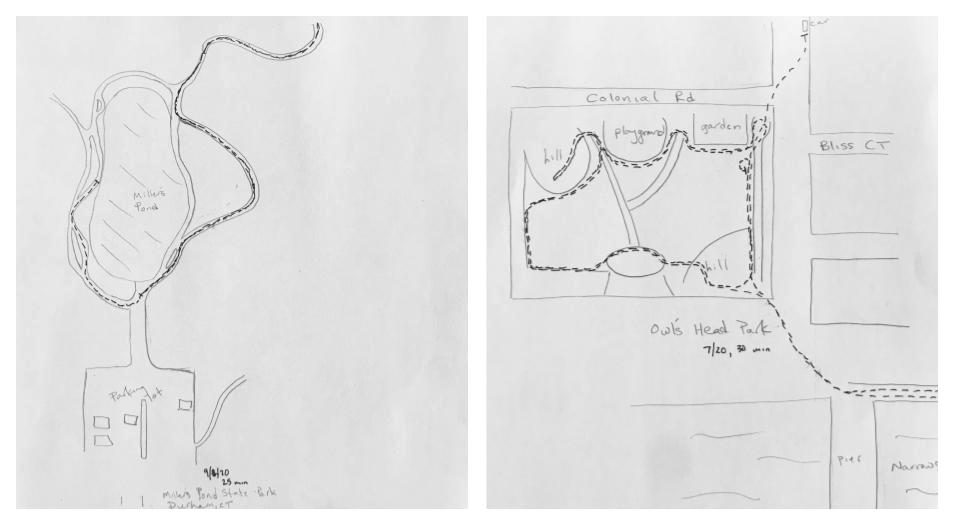 Two graphite drawings depicting two routes taken in Millers Pond State Park and Owl's Head Park. Image courtesy of the artist. 
