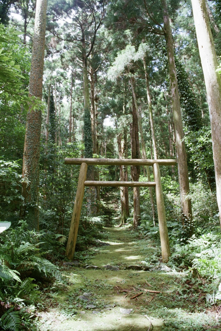 A wooden structure in the middle of a forest pathway. Photo by kyoko takenaka.